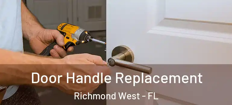  Door Handle Replacement Richmond West - FL