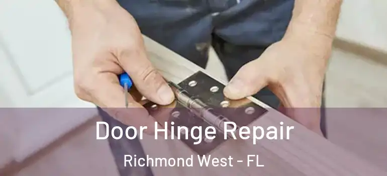  Door Hinge Repair Richmond West - FL