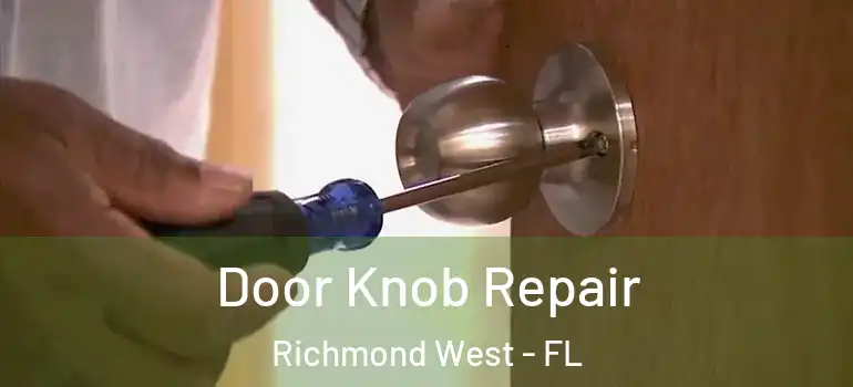  Door Knob Repair Richmond West - FL