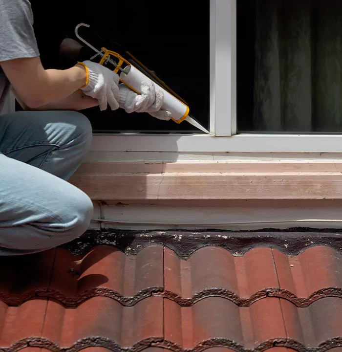 Roof Window Services in Richmond West, Florida