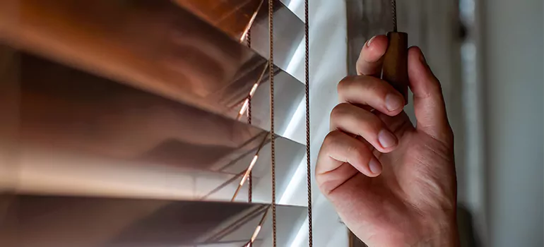 Double Roller Blinds in Richmond West, FL