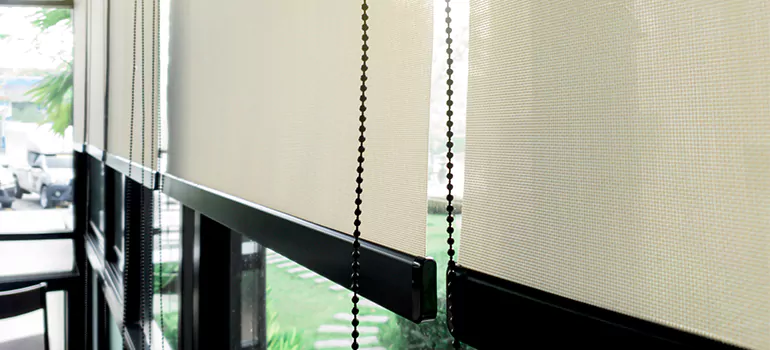 Blackout Window Shades in Richmond West, FL