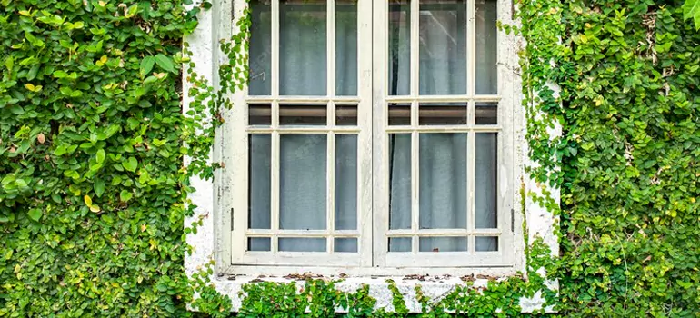 Garden Window Repair Near Me in Richmond West, FL