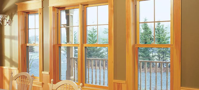 Government Incentives For Replacement Windows in Richmond West, FL
