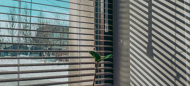 Commercial Window Blinds in Richmond West, FL