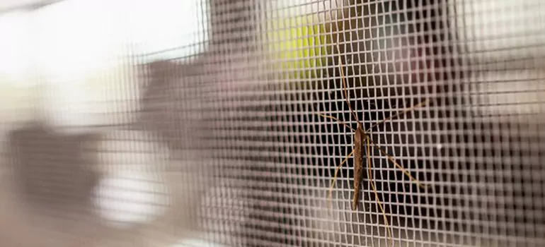 Repair Mosquito Mesh For Windows in Richmond West, FL