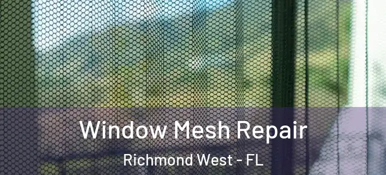  Window Mesh Repair Richmond West - FL
