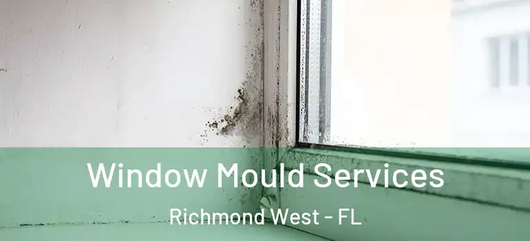  Window Mould Services Richmond West - FL